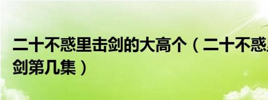 二十不惑里击剑的大高个（二十不惑里弟弟击剑第几集）