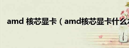 amd 核芯显卡（amd核芯显卡什么水平）