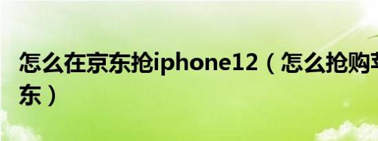 怎么在京东抢iphone12（怎么抢购苹果14京东）