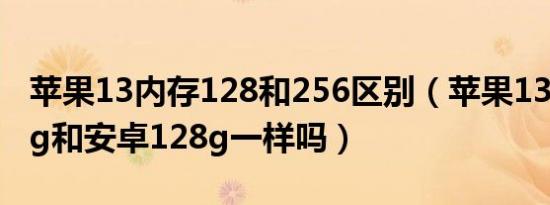 苹果13内存128和256区别（苹果13内存128g和安卓128g一样吗）