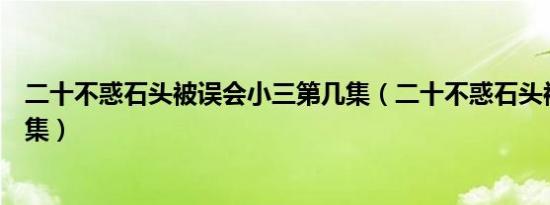 二十不惑石头被误会小三第几集（二十不惑石头被人打第几集）