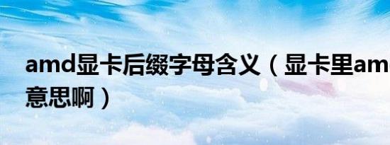 amd显卡后缀字母含义（显卡里amd是什么意思啊）