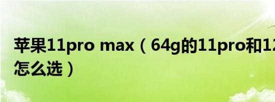 苹果11pro max（64g的11pro和128g的11怎么选）