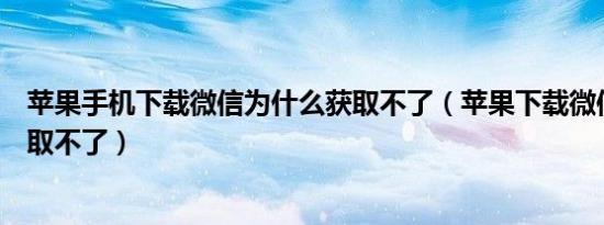 苹果手机下载微信为什么获取不了（苹果下载微信为什么获取不了）