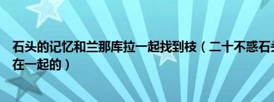 石头的记忆和兰那库拉一起找到枝（二十不惑石头路然怎么在一起的）