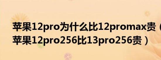 苹果12pro为什么比12promax贵（为什么苹果12pro256比13pro256贵）