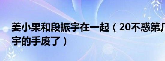 姜小果和段振宇在一起（20不惑第几集段振宇的手废了）