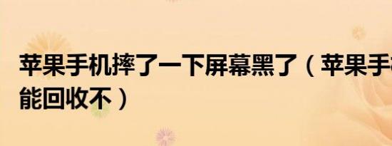 苹果手机摔了一下屏幕黑了（苹果手机摔烂了能回收不）