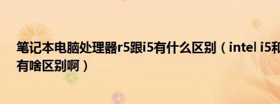 笔记本电脑处理器r5跟i5有什么区别（intel i5和AMD R5有啥区别啊）