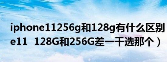 iphone11256g和128g有什么区别（iPhone11  128G和256G差一千选那个）