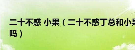 二十不惑 小果（二十不惑丁总和小果签约了吗）