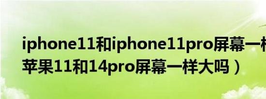 iphone11和iphone11pro屏幕一样大吗（苹果11和14pro屏幕一样大吗）