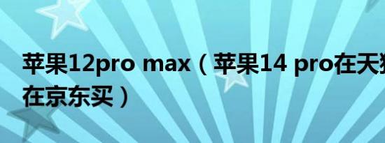 苹果12pro max（苹果14 pro在天猫买还是在京东买）