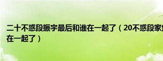 二十不惑段振宇最后和谁在一起了（20不惑段家堡最后和谁在一起了）