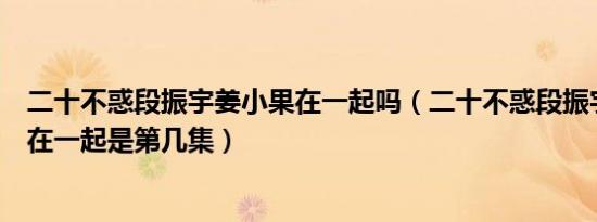 二十不惑段振宇姜小果在一起吗（二十不惑段振宇跟姜小果在一起是第几集）