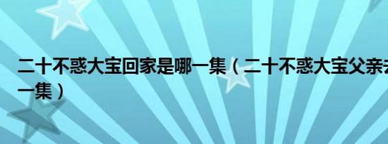 二十不惑大宝回家是哪一集（二十不惑大宝父亲去公司是哪一集）