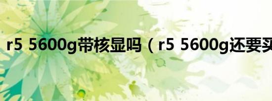 r5 5600g带核显吗（r5 5600g还要买显卡）