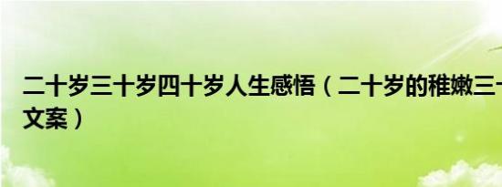 二十岁三十岁四十岁人生感悟（二十岁的稚嫩三十岁的成熟文案）