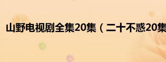 山野电视剧全集20集（二十不惑20集结局）