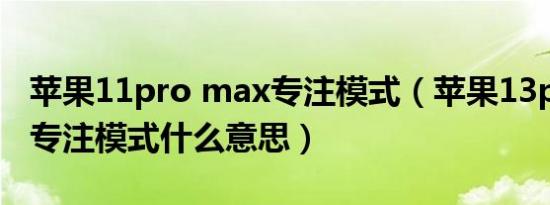 苹果11pro max专注模式（苹果13pro max专注模式什么意思）