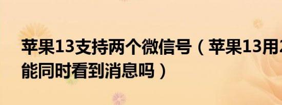 苹果13支持两个微信号（苹果13用2个微信能同时看到消息吗）