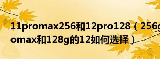 11promax256和12pro128（256g的11Promax和128g的12如何选择）