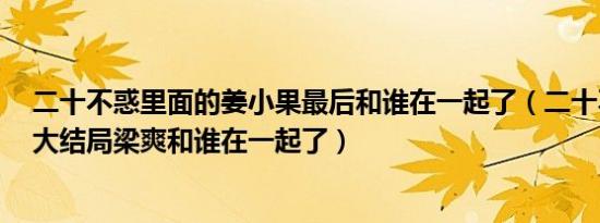 二十不惑里面的姜小果最后和谁在一起了（二十不惑2小说大结局梁爽和谁在一起了）