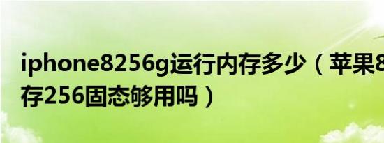 iphone8256g运行内存多少（苹果8g运行内存256固态够用吗）