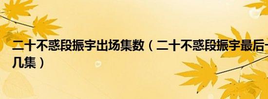 二十不惑段振宇出场集数（二十不惑段振宇最后一次表白第几集）