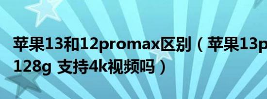 苹果13和12promax区别（苹果13pro max 128g 支持4k视频吗）