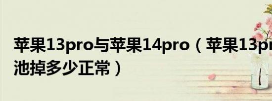 苹果13pro与苹果14pro（苹果13pro一年电池掉多少正常）