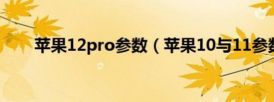 苹果12pro参数（苹果10与11参数）