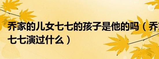 乔家的儿女七七的孩子是他的吗（乔家的儿女七七演过什么）