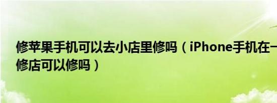 修苹果手机可以去小店里修吗（iPhone手机在一般手机维修店可以修吗）