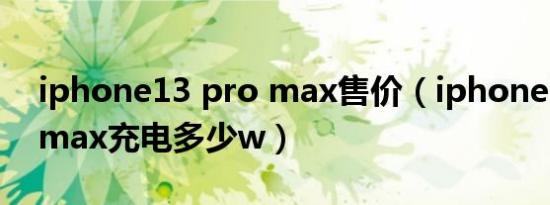 iphone13 pro max售价（iphone13 pro max充电多少w）