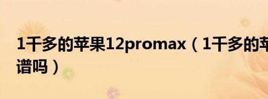 1千多的苹果12promax（1千多的苹果12靠谱吗）