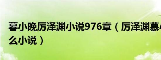 暮小晚厉泽渊小说976章（厉泽渊慕小晚是什么小说）