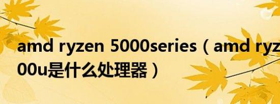 amd ryzen 5000series（amd ryzen 5 5000u是什么处理器）