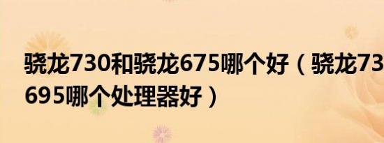 骁龙730和骁龙675哪个好（骁龙730跟骁龙695哪个处理器好）