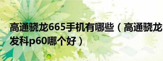 高通骁龙665手机有哪些（高通骁龙665和联发科p60哪个好）