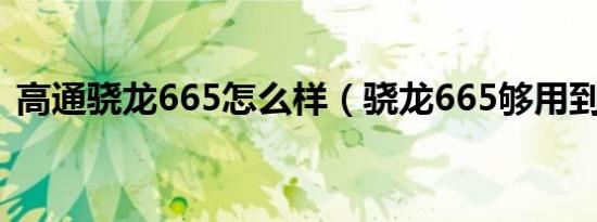 高通骁龙665怎么样（骁龙665够用到年吗）