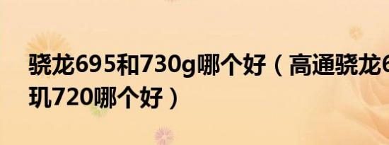 骁龙695和730g哪个好（高通骁龙695和天玑720哪个好）