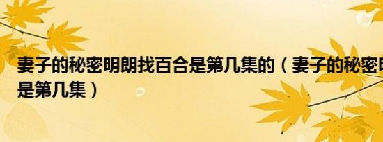 妻子的秘密明朗找百合是第几集的（妻子的秘密明朗找百合是第几集）