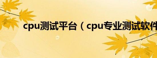 cpu测试平台（cpu专业测试软件）