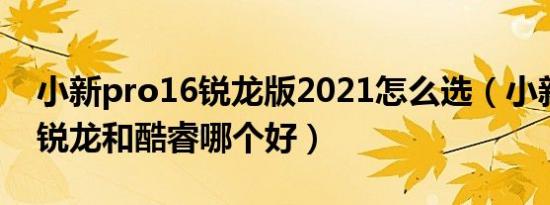 小新pro16锐龙版2021怎么选（小新pro16锐龙和酷睿哪个好）