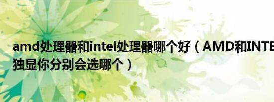 amd处理器和intel处理器哪个好（AMD和INTEL的集显和独显你分别会选哪个）