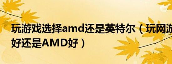 玩游戏选择amd还是英特尔（玩网游是Intel好还是AMD好）