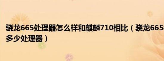 骁龙665处理器怎么样和麒麟710相比（骁龙665相当于麒麟多少处理器）