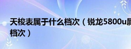 天梭表属于什么档次（锐龙5800u属于什么档次）