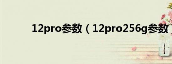 12pro参数（12pro256g参数）